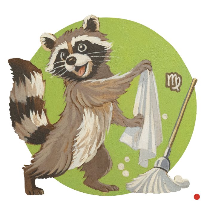 Waschbär mit Putzutensilien