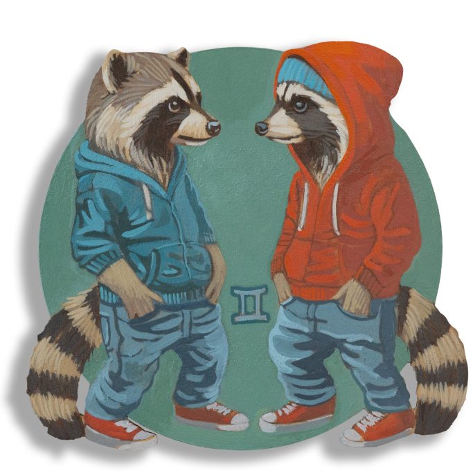 Zwillingswaschbären mit Hoodie und Jeans.
