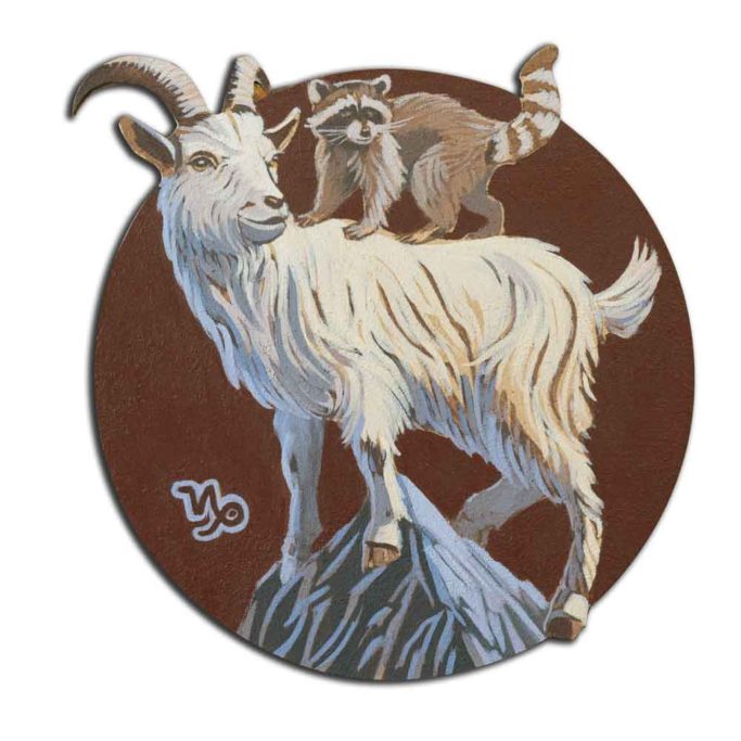 Ein Waschbär auf dem Rücken vom Steinbock erklimmt den Gipfel. 
