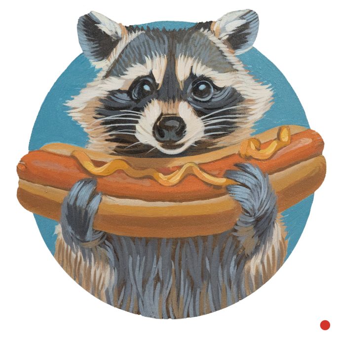 Ein Waschbär mit Hot Dog