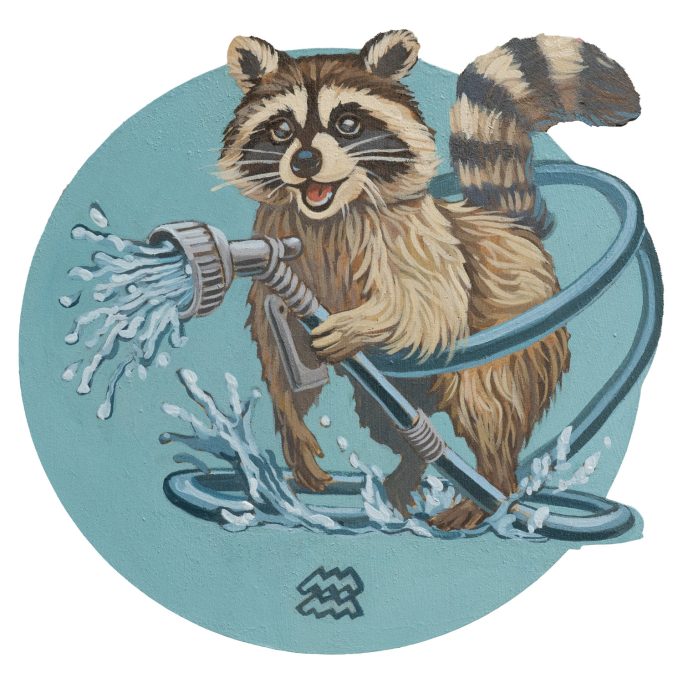 Waschbär mit Wasserschlauch